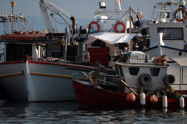 Σαρωνικός: Παράταση δύο μηνών στην απαγόρευση αλιείας με μηχανότρατες