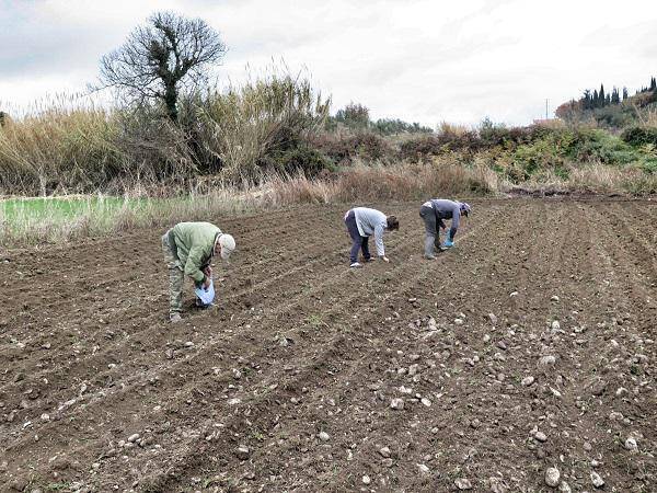 Αντιδρούν οι Έλληνες αγρότες για τα αυξημένα μεροκάματα τον Αλβανών εργατών