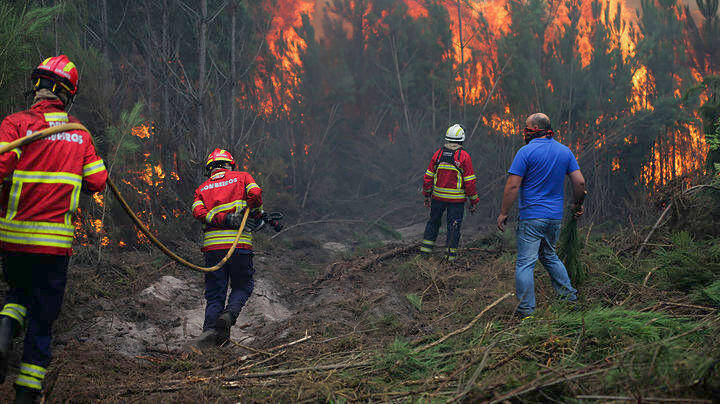 Τριήμερο εθνικό πένθος στην Πορτογαλία – Τουλάχιστον 36 οι νεκροί από τις πυρκαγιές