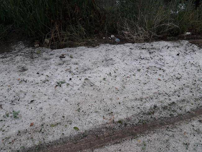 Καιρός: Σφοδρή βροχόπτωση στον Βόλο -Καταστράφηκαν δενδροκαλλιέργιες στο Πήλιο