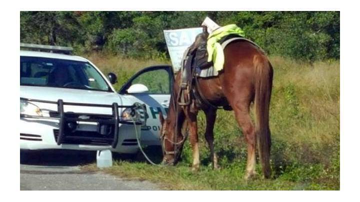 ΗΠΑ: Συνέλαβαν 53χρονη γιατί «οδηγούσε» μεθυσμένη ένα… άλογο