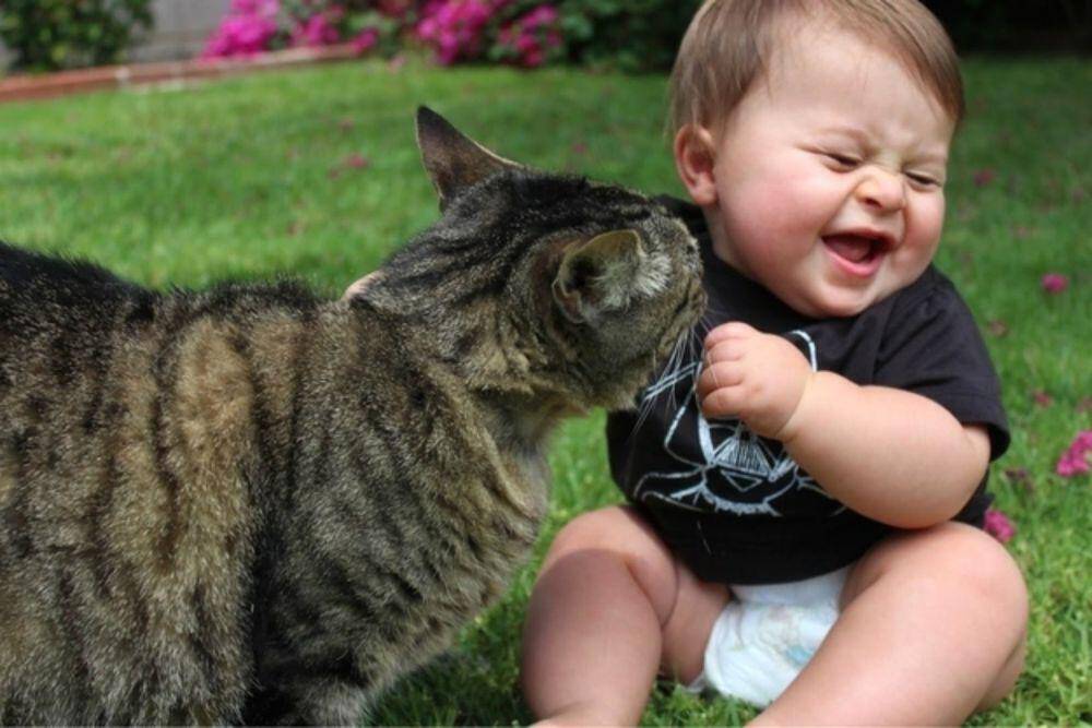 Οι γάτες απομακρύνουν τον κίνδυνο άσθματος στα παιδιά