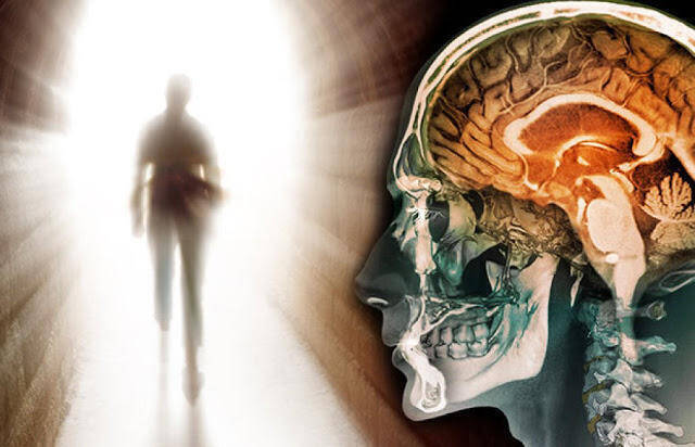 Πρωτότυπη έρευνα δείχνει ότι ο εγκέφαλος λειτουργεί και μετά τον θάνατο (vid)