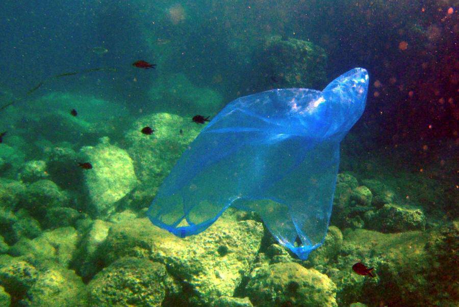 Γιώργος Καραμέρος: Τέλος στην πλαστική σακούλα, τη θανάσιμη απειλή για το οικοσύστημα
