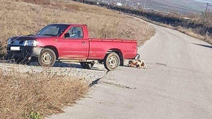 Συνελήφθη ο άνδρας που έσερνε σκύλο πίσω από το αγροτικό