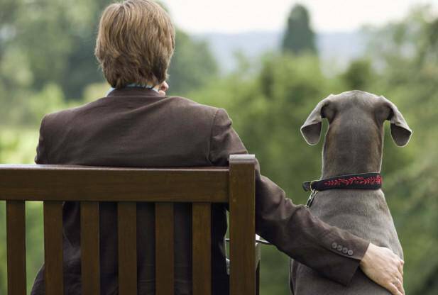 Επιστημονική έρευνα: Πάρτε σκύλο  για μακροζωία και καλύτερη ζωή
