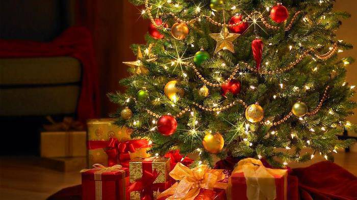 Η ιστορία του χριστουγεννιάτικου δέντρου