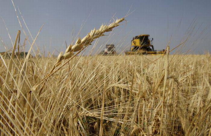 Η Ελλάδα στις πρώτες θέσεις εξαγωγέων δημητριακών και ρυζιού προς την Τουρκία