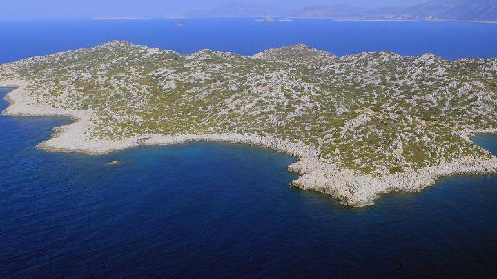 Έλληνες επιχειρηματίες: Είμαστε στο πλευρό αυτών που φυλάσσουν «Θερμοπύλες» στα ακριτικά νησιά