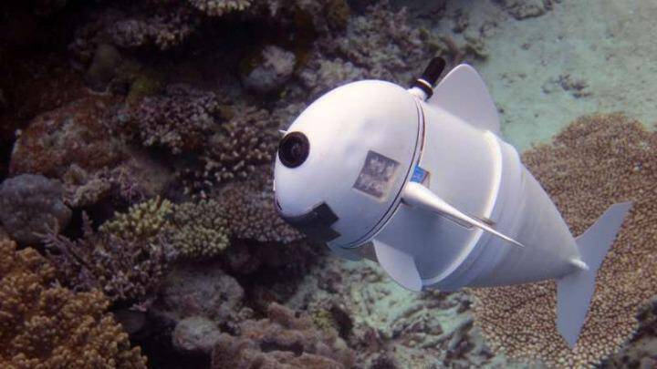 SoFi: Το 1ο ρομποτικό ψάρι που κολυμπά σε βάθος 18μ!