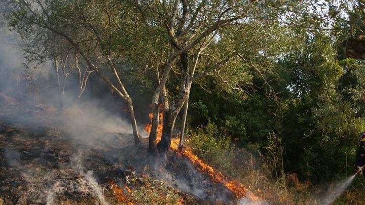 Υψηλός ο κίνδυνος πυρκαγιάς σήμερα Σάββατο σε Αττική- Πελοπόννησο και Β. Αιγαίο