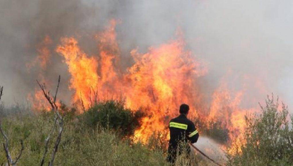 Πυρκαγιά στη Μεταμόρφωση Χαλκιδικής