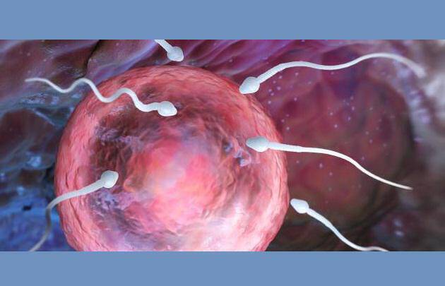 Πέντε πράγματα που μπορεί να «σκοτώσουν» το σπέρμα