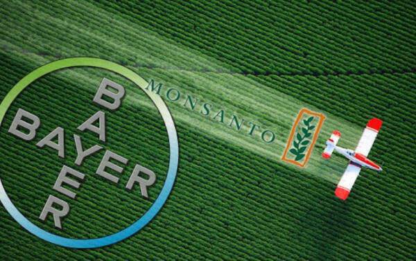 Bayer: Την Πέμπτη ολοκληρώνεται η εξαγορά της Monsanto