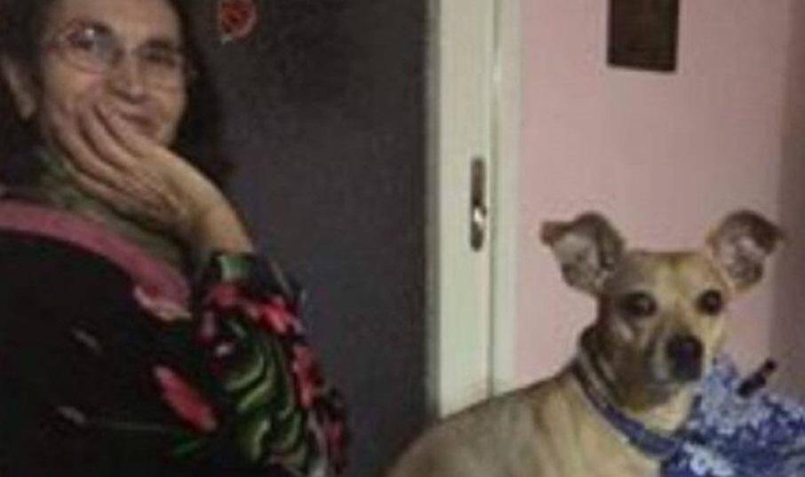 Υμηττός: Ο σκύλος οδήγησε στη νεκρή αφεντικίνα του