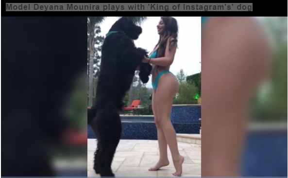 Το γνωστό μοντέλο Deyana Mounira κατηγορείται για… σεξουαλική διέγερση σκύλου (vids&pics)