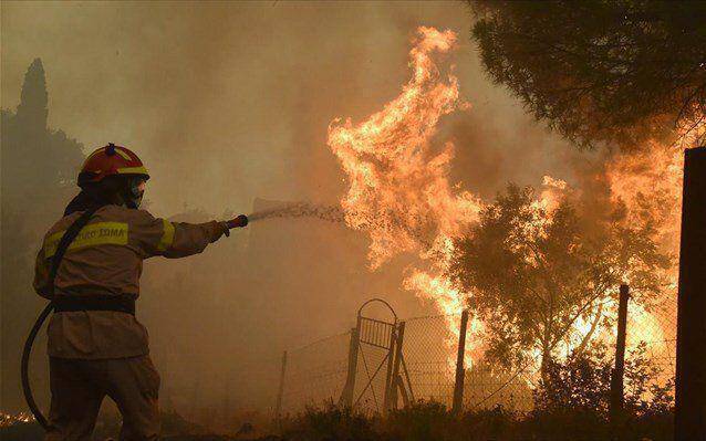 Μεγάλη πυρκαγιά στην Παλαιοκαμάριζα Αναβύσσου