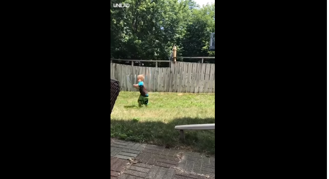 Tρυφερές στιγμές: Δίχρονος και σκύλος παίζουν με μια μπάλα (vid)