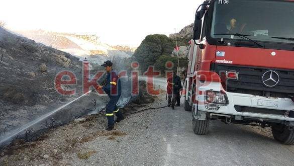 Κρήτη: Υπό μερικό έλεγχο η φωτιά στη Σητεία – Κάηκαν εκατοντάδες στρέμματα (pics)