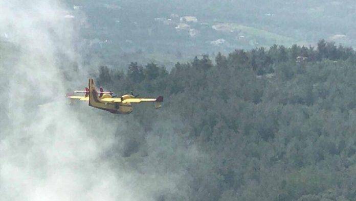 Εύβοια: Με το πρώτο φως της μέρας επιχειρούν και δύο πυροσβεστικά αεροσκάφη