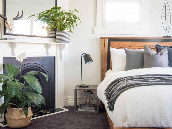 Τρία φυτά ιδανικά για το υπνοδωμάτιο που θα βελτιώσουν την ποιότητα του ύπνου σου