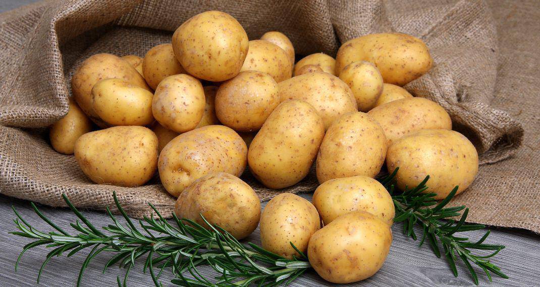 Κατασχέθηκαν και καταστράφηκαν 2,6 τόνοι πατάτας στον Πειραιά