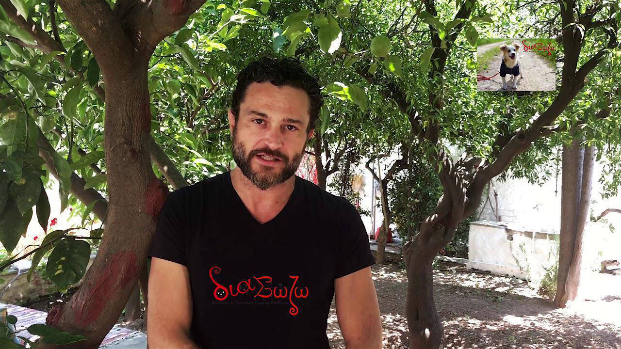Ο ηθοποιός Γιώργος Καραμίχος σε βίντεο για τα αδέσποτα της Ελλάδας