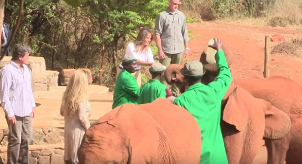 Η Μελάνια Τραμπ ταΐζει με μπιμπερό ελέφαντες (vid)
