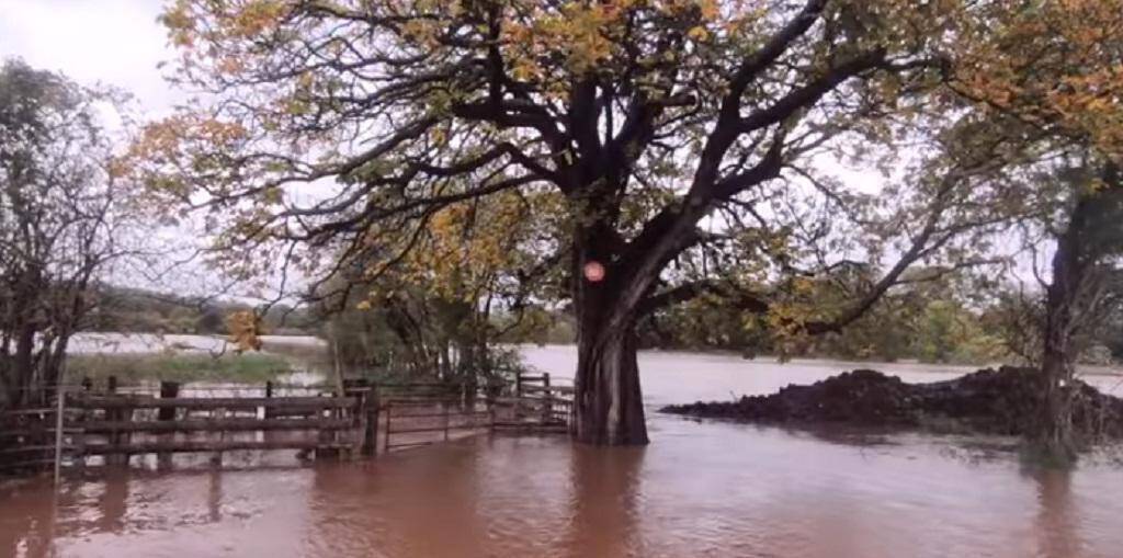 Ζημιές από τις πλημμύρες σε Εύβοια, Βοιωτία και Φθιώτιδα