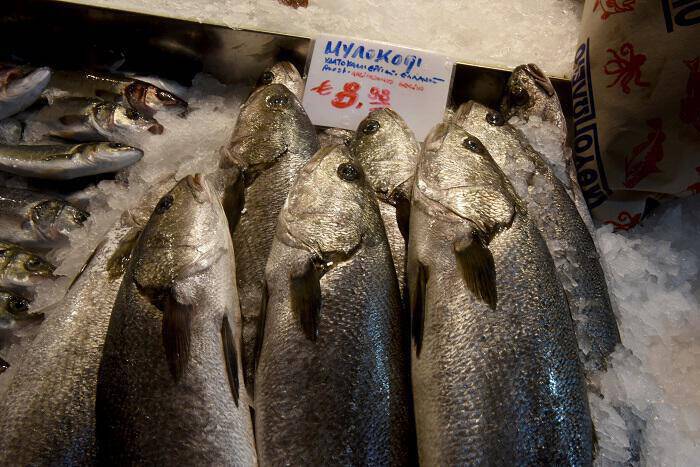 Κατασχέθηκαν 200 κιλά ακατάλληλα αλιεύματα στην ιχθυόσκαλα Κερατσινίου