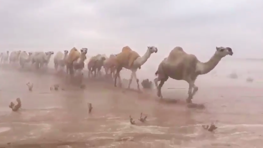 Εικόνες αποκάλυψης στην έρημο- Πλημμύρισε η Σαουδική Αραβία (vid)