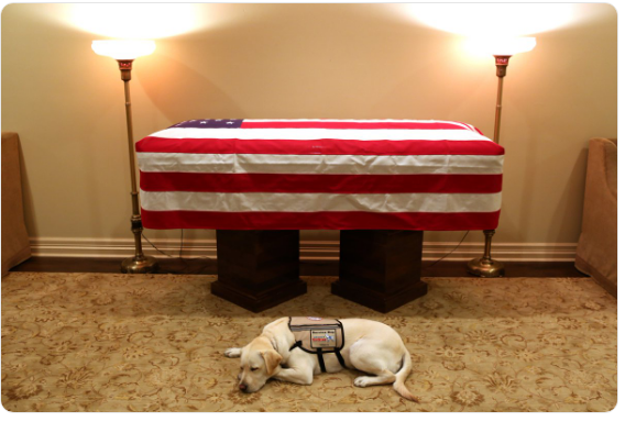 Ο πιστός σκύλος του Τζορτζ Μπους μπροστά από το φέρετρό του