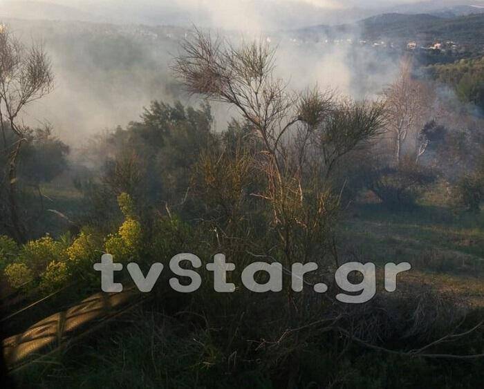 Εύβοια: Κάηκε δασική έκταση – Με εγκαύματα ο εργάτης που ξεκίνησε τη φωτιά