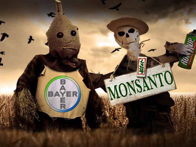 Monsanto: Το παραδέχθηκε! Αποζημίωση 10.000.000 δολαρίων για παράνομο ζιζανιοκτόνο