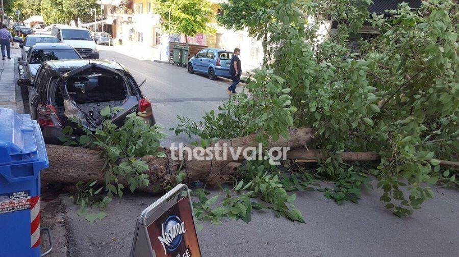 Θεσσαλονίκη: Πτώση δέντρου στο Κορδελιό – Ζημιές σε αυτοκίνητο (pics)
