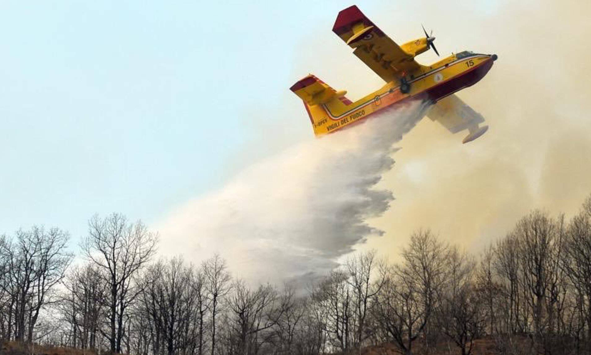 Φθιώτιδα: Φωτιά σε δασική έκταση στο Μαρτίνο