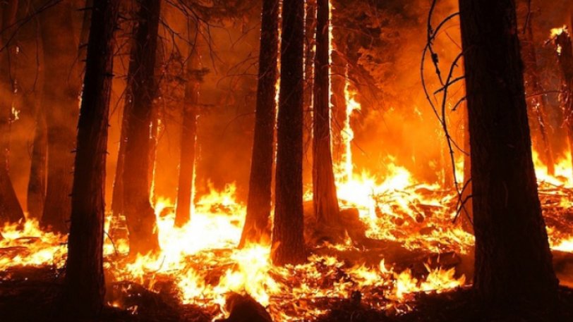 Μαίνονται οι πυρκαγιές στη Σιβηρία