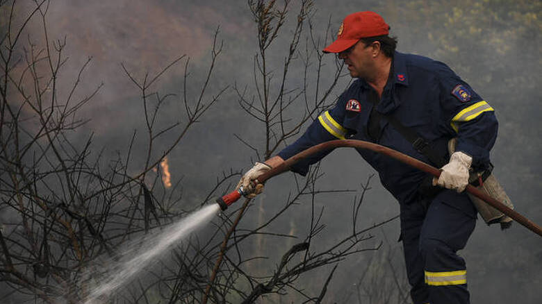 Φωτιά τώρα στην Αταλάντη: Επί τόπου δυνάμεις της Πυροσβεστικής