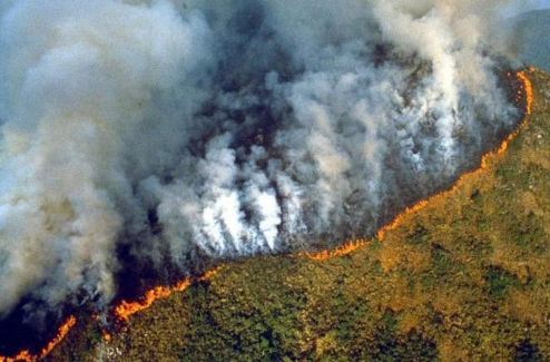 Αμαζόνιος: Καταστροφικές πυρκαγιές στον μεγαλύτερο «πνεύμονα» της γης (vid)