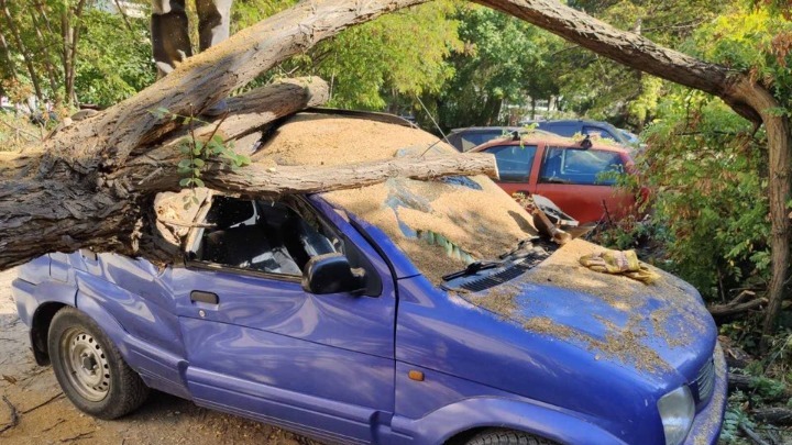 Θεσσαλονίκη: Ζημιές σε τέσσερα αυτοκίνητα από πτώση δέντρου