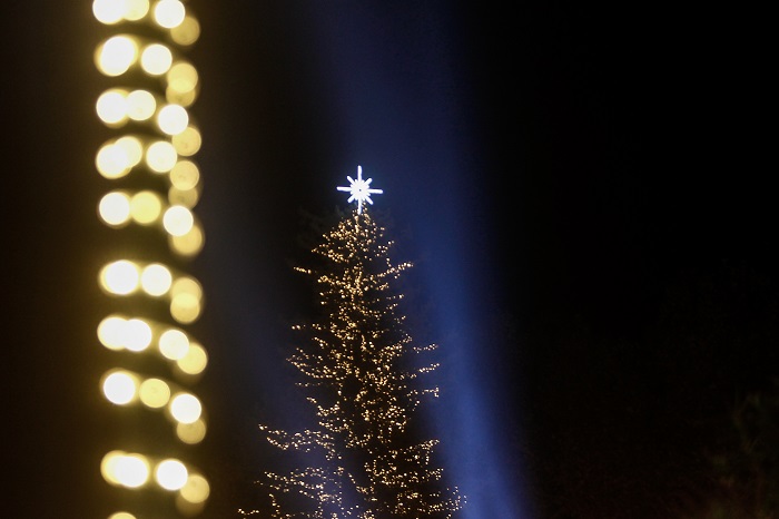 Αναβάλλεται λόγω πένθους η φωταγώγηση του χριστουγεννιάτικου δέντρου στο Πεδίο του Άρεως