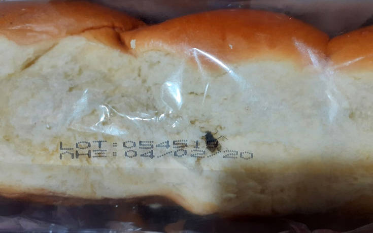 Λάρισα: Αγόρασε τσουρέκι από σουπερμάρκετ και βρήκε μέσα μύγα