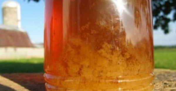 Πως θα καταλάβετε αν το μέλι είναι φυσικό ή νοθευμένο