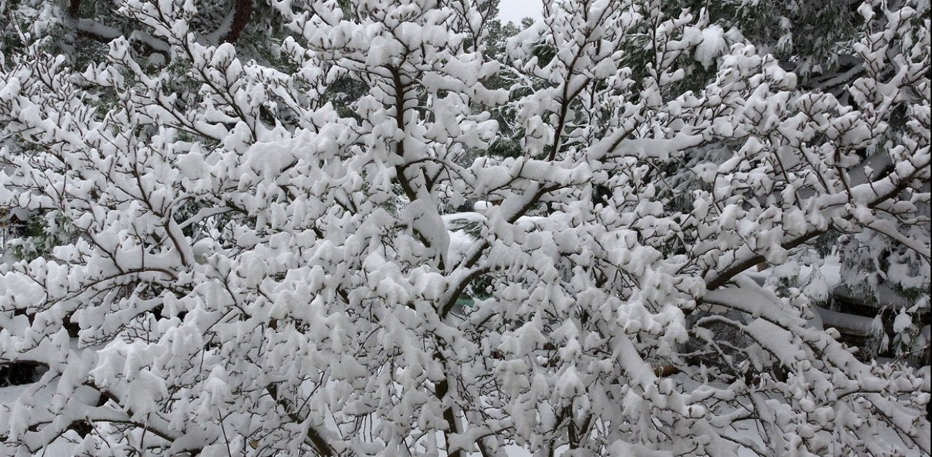 Καιρός: Κατεβαίνει… χιονιάς από τα Βαλκάνια!