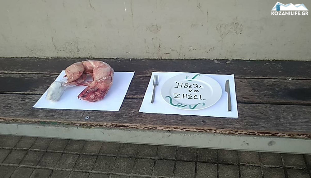 Κοζάνη: Άφησαν γδαρμένο κουνέλι δίπλα σε ένα πιάτο (pics)