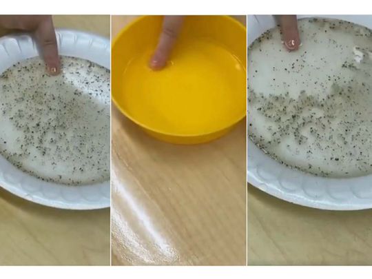 Το απλό πείραμα που πείθει τα παιδιά να πλένουν τα χέρια τους