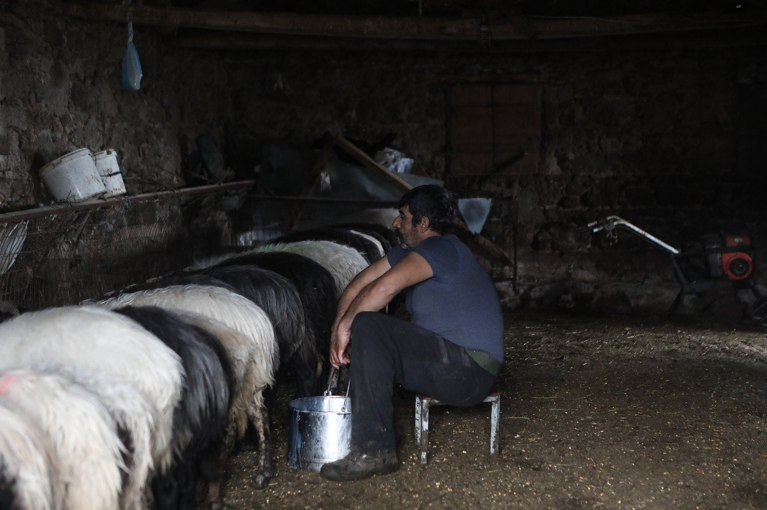 Σκρέκας: Έρχονται μέτρα ενίσχυσης των κτηνοτρόφων μετά το Πάσχα