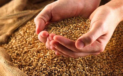 Μεγάλη αύξηση της ζήτησης: Σκληρό σιτάρι- ρύζι και οπωροκηπευτικά έχουν απογειωθεί