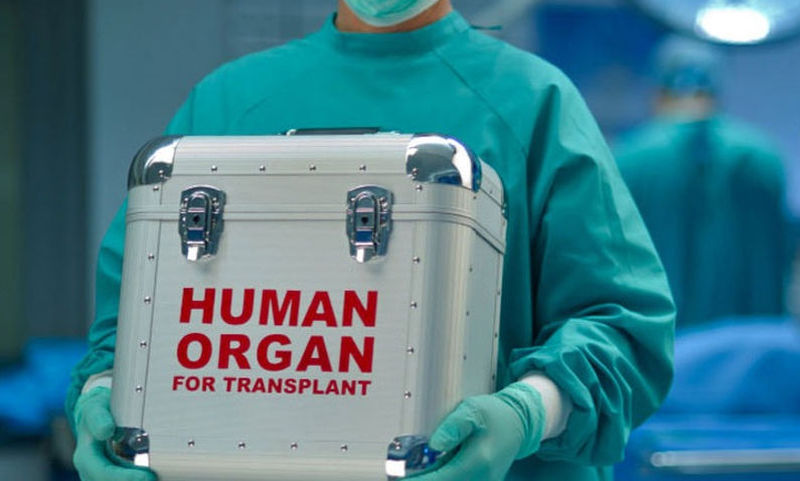 Δωρεά οργάνων από δύο άνδρες που κατέληξαν στο «Σωτηρία» – Ελπίδα σε πάνω από 10 ασθενείς