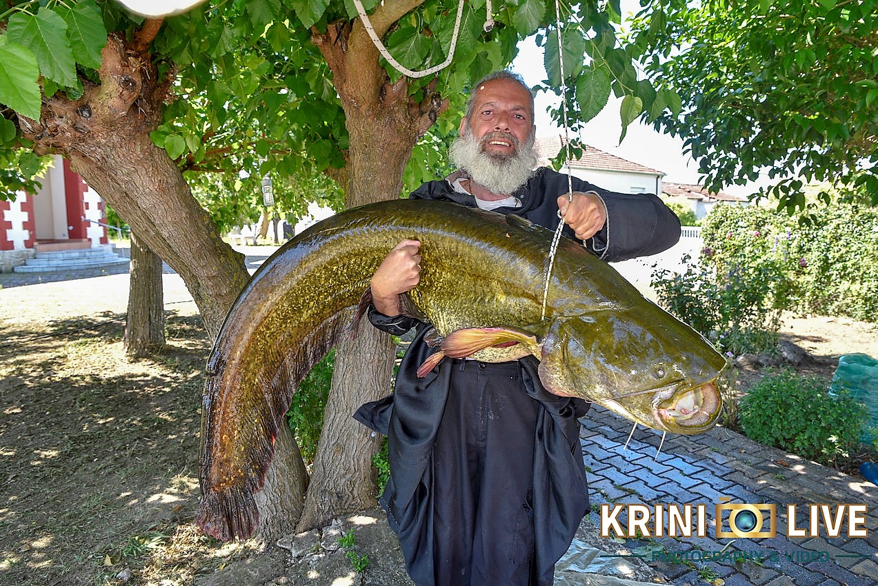 Τρίκαλα: Ιερέας έβγαλε γουλιανό βάρους 35 κιλών στον Πηνειό ποταμό (pics)